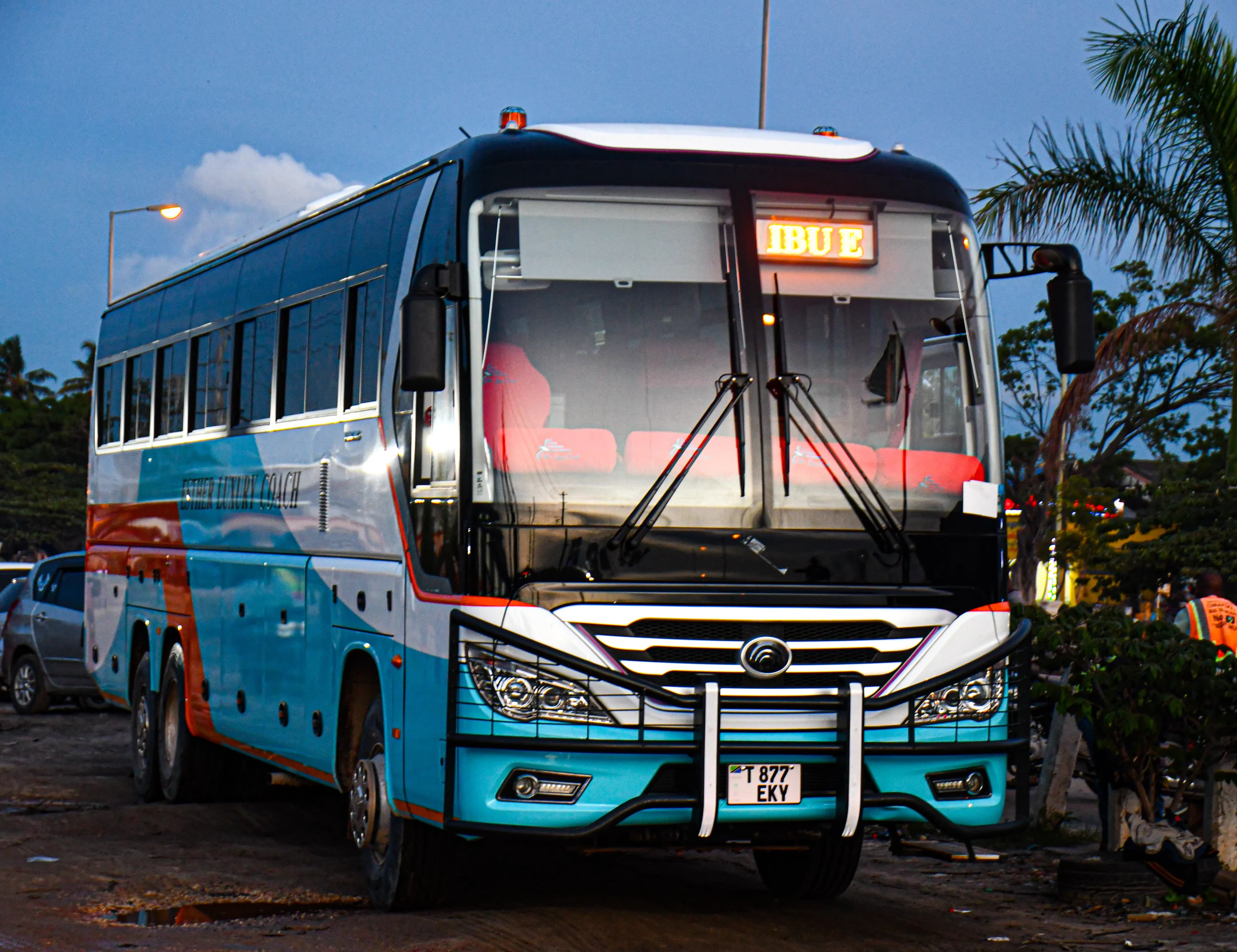 Executive Coach